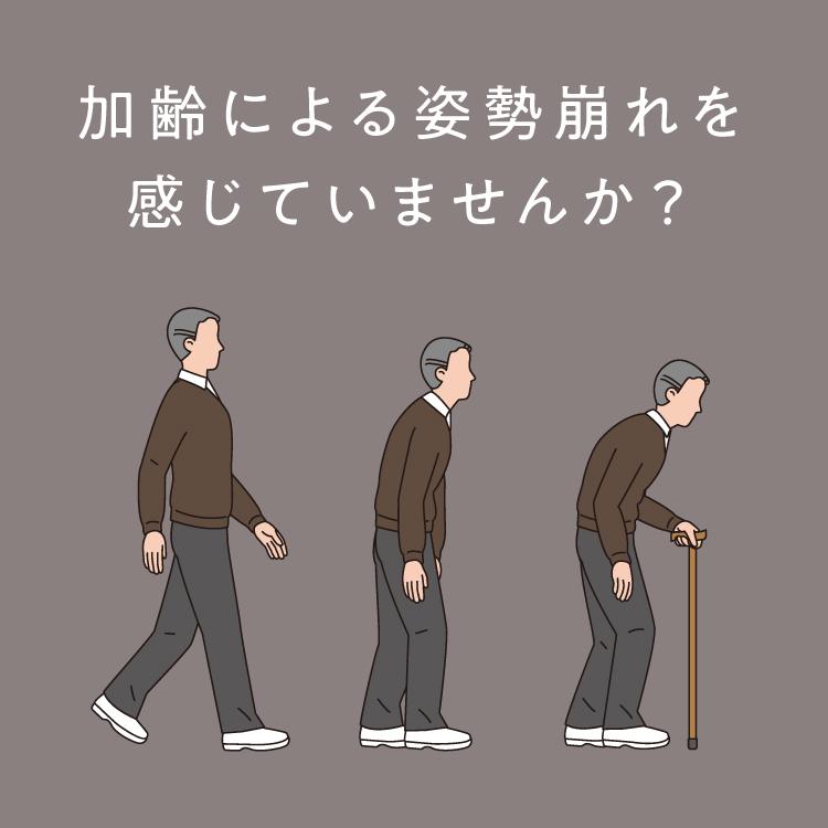PROIDEA（プロイデア） 【組み立て済み】ぶらさがりチェア ストレッチ