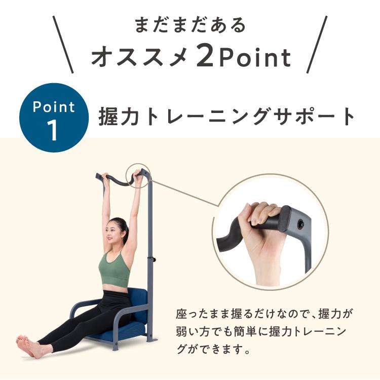 PROIDEA（プロイデア） 【組み立て済み】ぶらさがりチェア ストレッチ