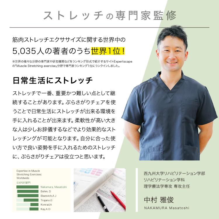 PROIDEA（プロイデア） 【組み立て済み】ぶらさがりチェア ストレッチ