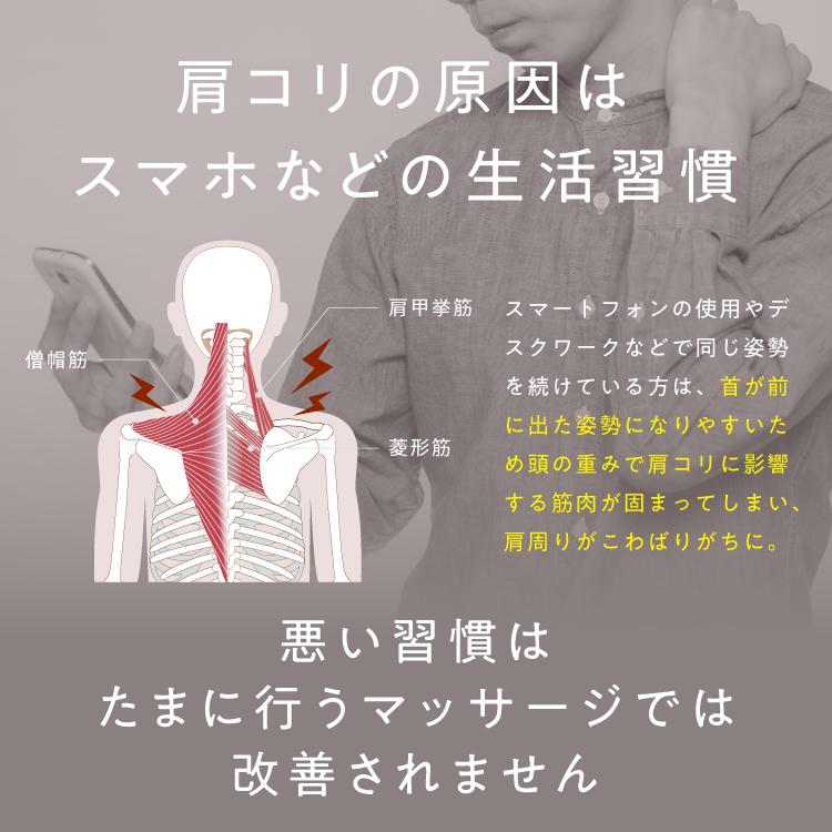 PROIDEA（プロイデア） 【組み立て済み】ぶらさがりチェア ストレッチ