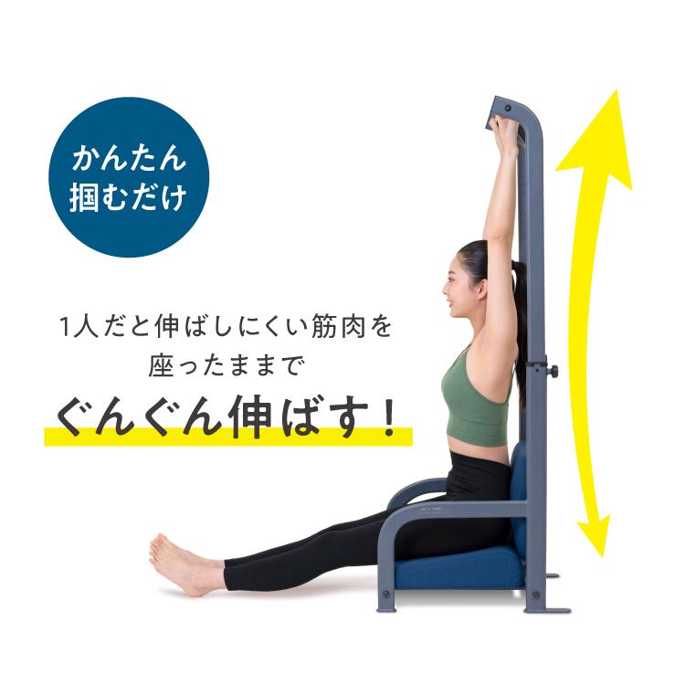 PROIDEA（プロイデア） 【組み立て済み】ぶらさがりチェア ストレッチ