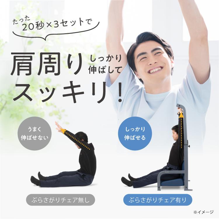 PROIDEA（プロイデア） 【組み立て済み】ぶらさがりチェア ストレッチ