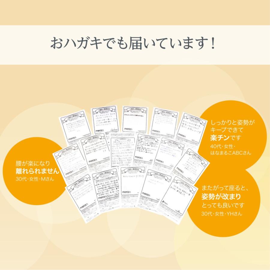 座椅子 腰痛 姿勢 骨盤 美姿勢 テレワーク 在宅勤務 リクライニング 背筋がGUUUN 美姿勢座椅子 RICH グーン リッチ プロイデア ドリーム 正規品の画像