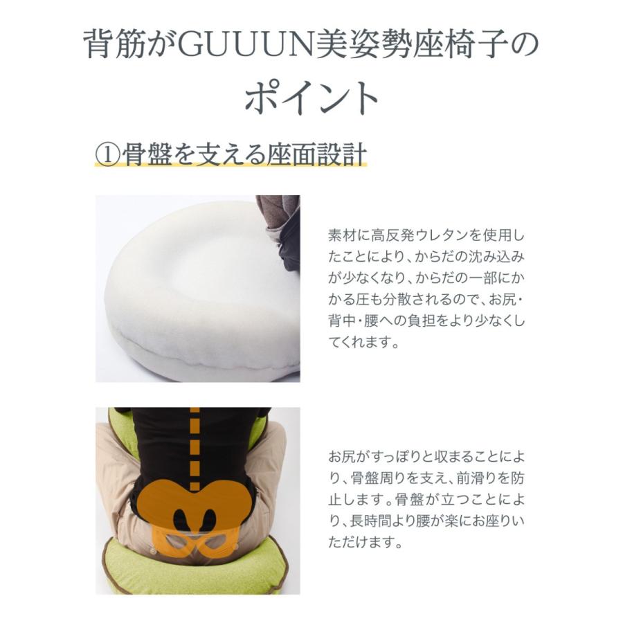 座椅子 腰痛 姿勢 骨盤 美姿勢 テレワーク 在宅勤務 リクライニング 背筋がGUUUN 美姿勢座椅子 RICH グーン リッチ プロイデア ドリーム 正規品の画像