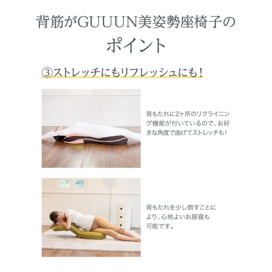 座椅子 腰痛 姿勢 骨盤 美姿勢 テレワーク 在宅勤務 リクライニング 背筋がGUUUN 美姿勢座椅子 RICH グーン リッチ プロイデア ドリーム 正規品の画像