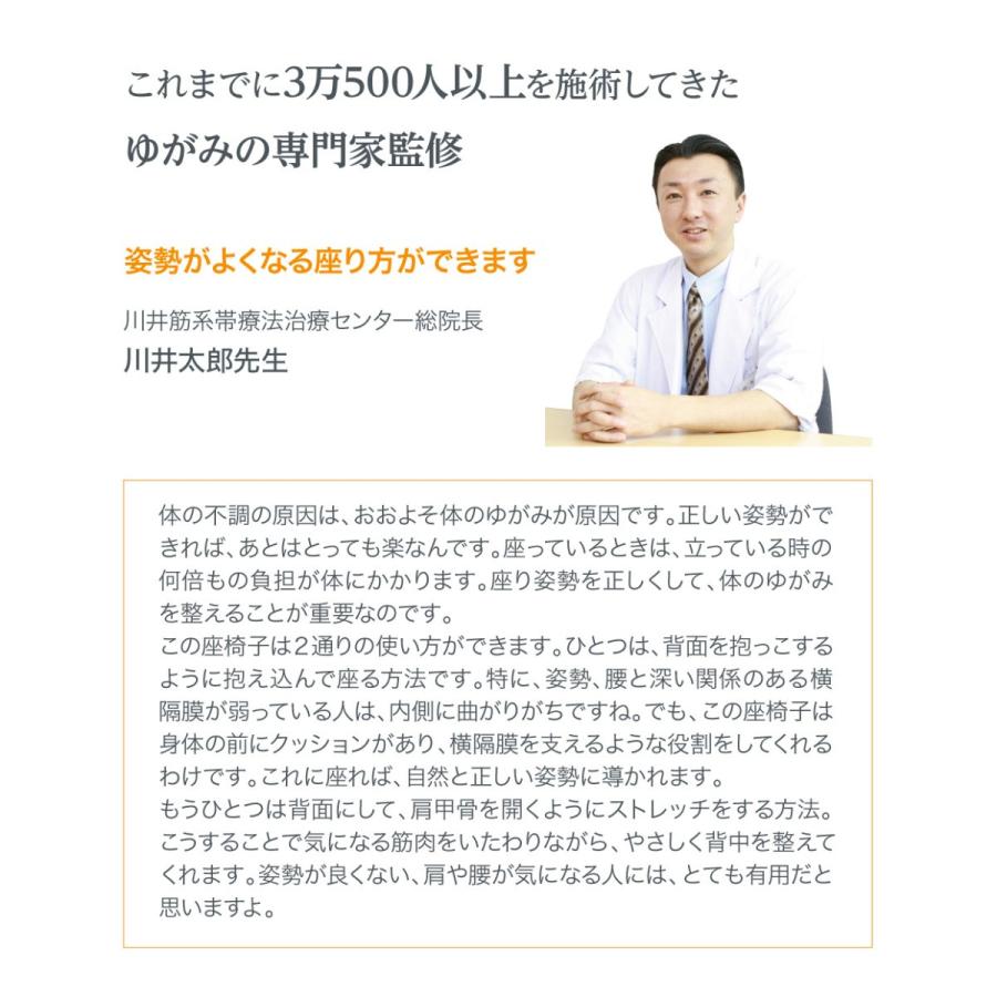 座椅子 腰痛 姿勢 骨盤 美姿勢 テレワーク 在宅勤務 リクライニング 背筋がGUUUN 美姿勢座椅子 RICH グーン リッチ プロイデア ドリーム 正規品の画像