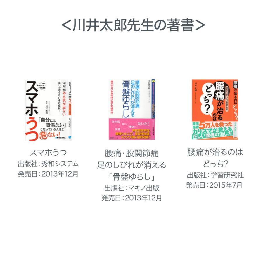 座椅子 腰痛 姿勢 骨盤 美姿勢 テレワーク 在宅勤務 リクライニング 背筋がGUUUN 美姿勢座椅子 RICH グーン リッチ プロイデア ドリーム 正規品の画像