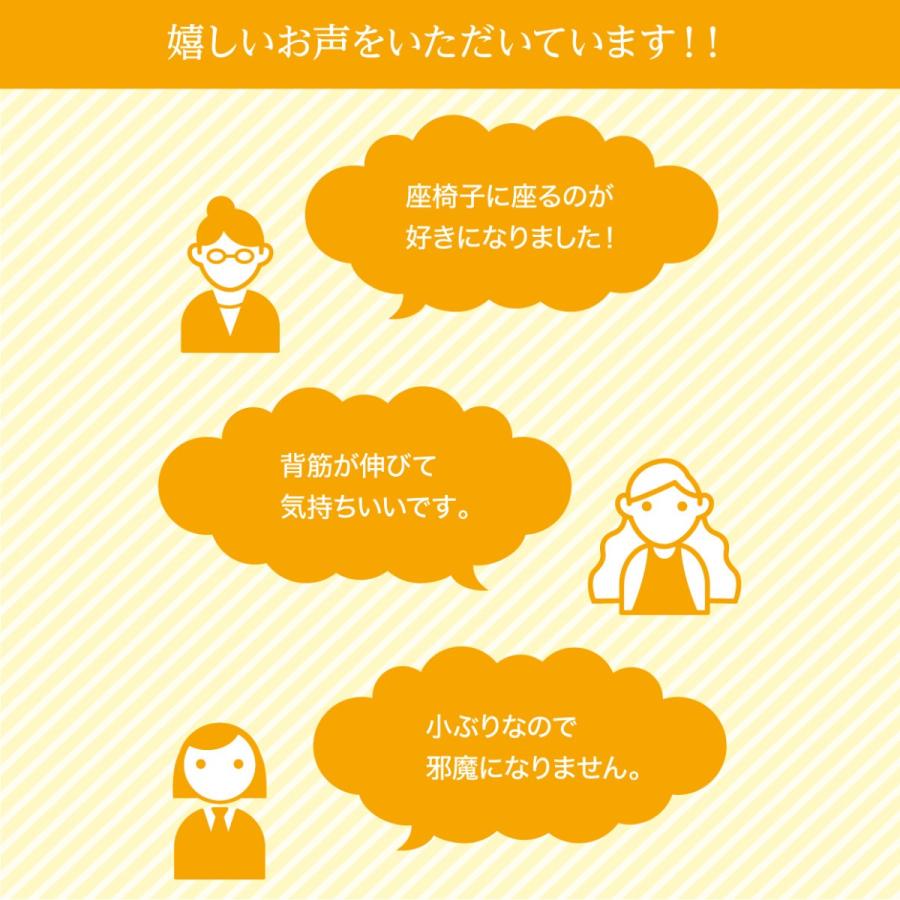 座椅子 腰痛 姿勢 骨盤 美姿勢 テレワーク 在宅勤務 リクライニング 背筋がGUUUN 美姿勢座椅子 RICH グーン リッチ プロイデア ドリーム 正規品の画像