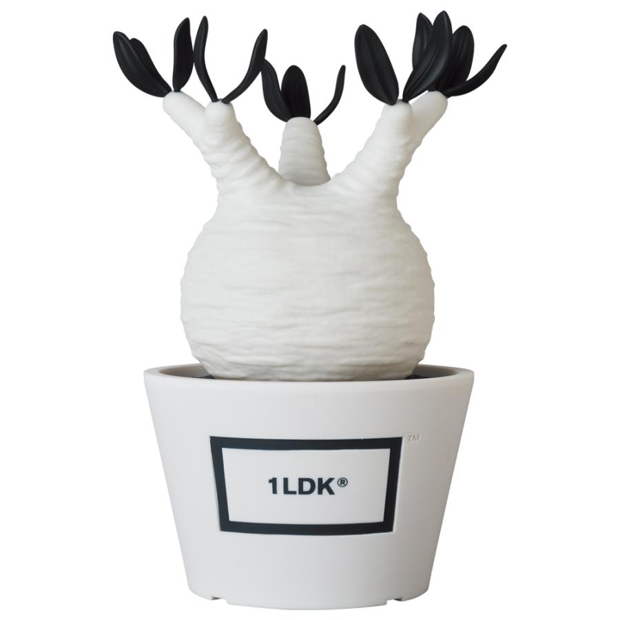 ボタナイズ メディコムトイ 1LDK MEDICOM TOY BOTANIZE パキポディウム