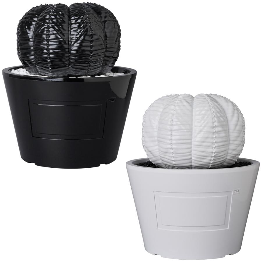 MEDICOM TOY VCD Euphorbia obesa GLOSS BLACK／GLOSS WHITE : MEDICOM
