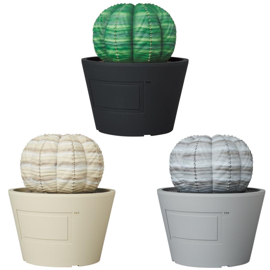 VCD Euphorbia obesa | MEDICOM TOY | 01