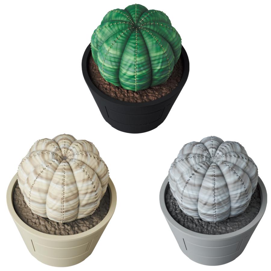 VCD Euphorbia obesa | MEDICOM TOY | 02