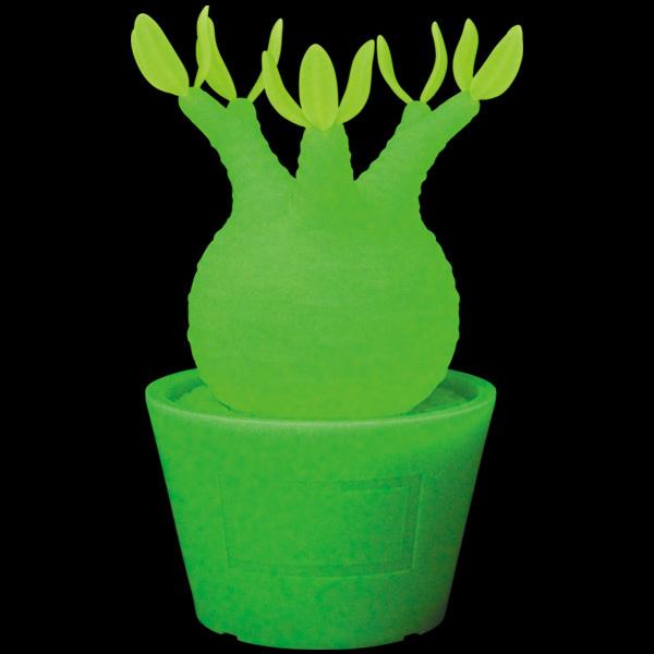 MEDICOM TOY（メディコム・トイ） VCD Pachypodium Gracilius MONOTONE