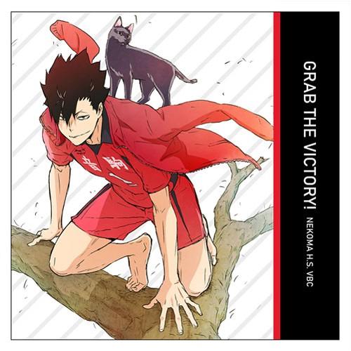 ネコポス ゆうパケット対応 コスパ ハイキュー To The Top 黒尾鉄朗 クッションカバー Project Core 通販 Yahoo ショッピング