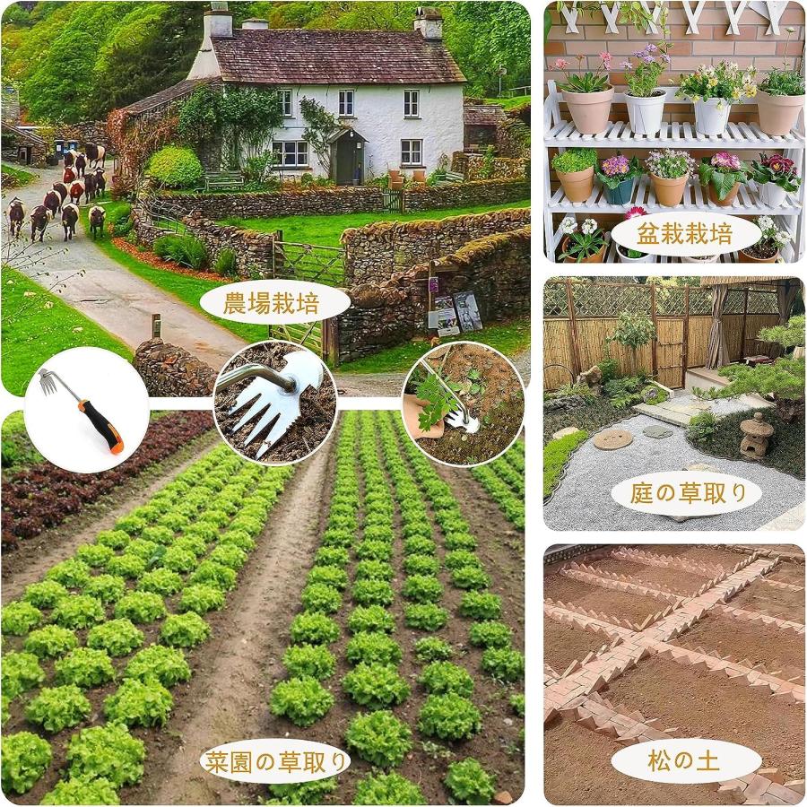 草取り道具 草取り 草刈鎌 立ったまま 雑草抜き 雑草取り器具 第 草取り道具 草取り 草刈鎌 立ったまま 雑草抜き 雑草取り器具 第