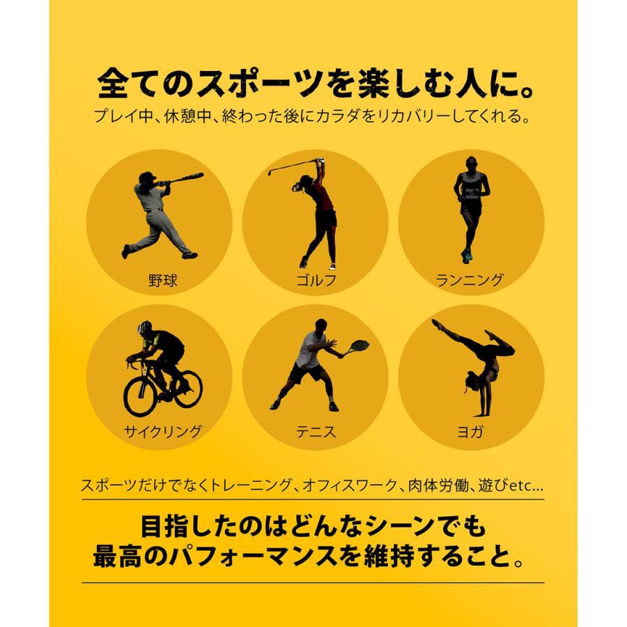 NEW【WBC代表選手着用】ANGLE アングル e.モデル02 磁気ネックレス 野球選手 スポーツ プラチナ 肩コリ 医療機器 肩こり解消 血行改善 頭痛 メンズ レディース |  | 12
