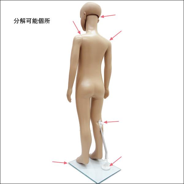 男女兼用 子供マネキン 110cm 軽量 キッズマネキン |  | 02