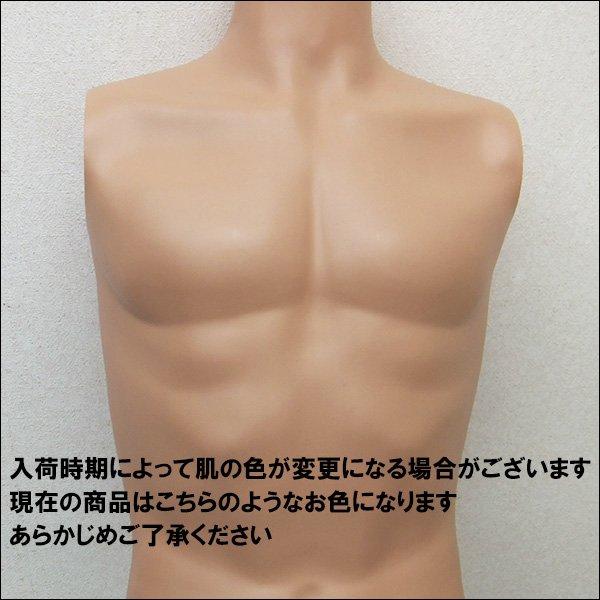 軽量 メンズマネキン 男性マネキン 選べるウイッグおまけ付き【KEN】 |  | 10