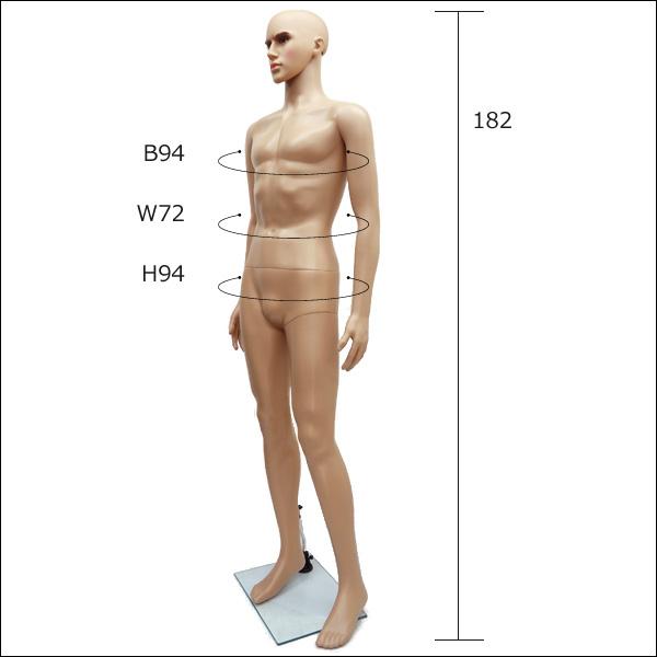 軽量 メンズマネキン 男性マネキン 選べるウイッグおまけ付き【KEN】 |  | 01