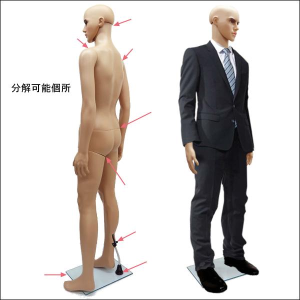 軽量 メンズマネキン 男性マネキン 選べるウイッグおまけ付き【KEN】 |  | 03