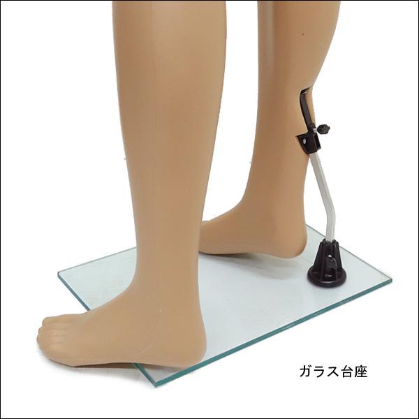 軽量 メンズマネキン 男性マネキン 選べるウイッグおまけ付き【KEN】 |  | 07