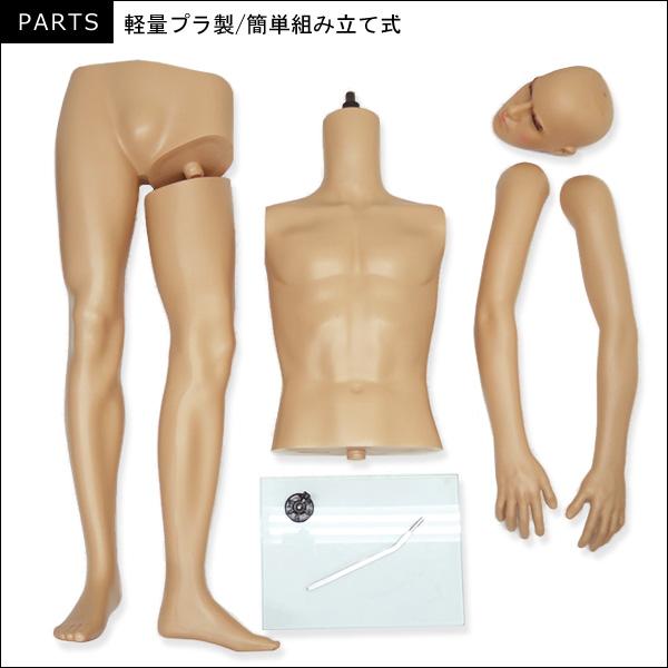 軽量 メンズマネキン 男性マネキン 選べるウイッグおまけ付き【KEN】 |  | 08