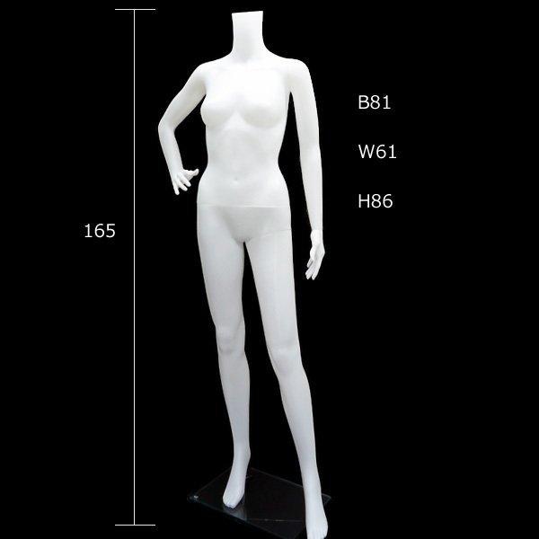 レディース ヘッドレスマネキン 軽量 女性マネキン【白-1(1)】 |  | 01