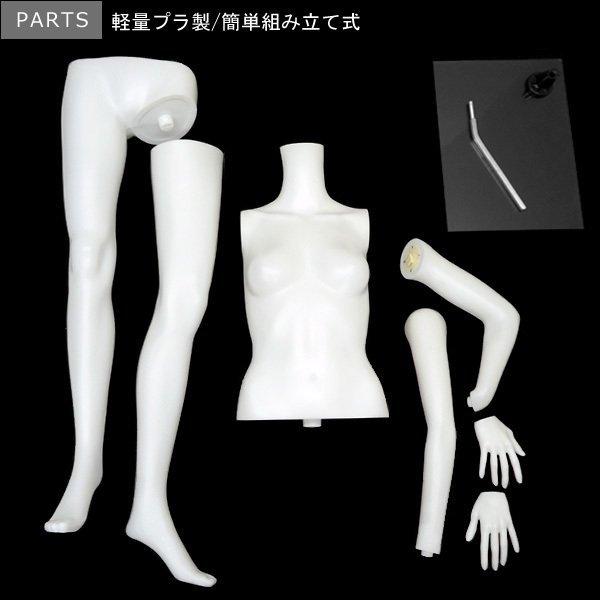 レディース ヘッドレスマネキン 軽量 女性マネキン【白-1(1)】 |  | 05