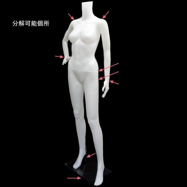 レディース ヘッドレスマネキン 軽量 女性マネキン【白-1(1)】 |  | 06