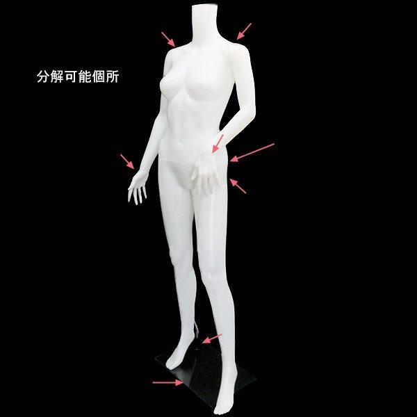 レディース ヘッドレスマネキン 軽量 女性マネキン【白-3A】 |  | 05