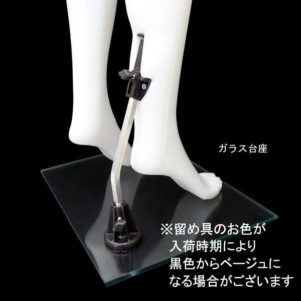 レディース ヘッドレスマネキン 軽量 女性マネキン【白-5(1)】 |  | 02