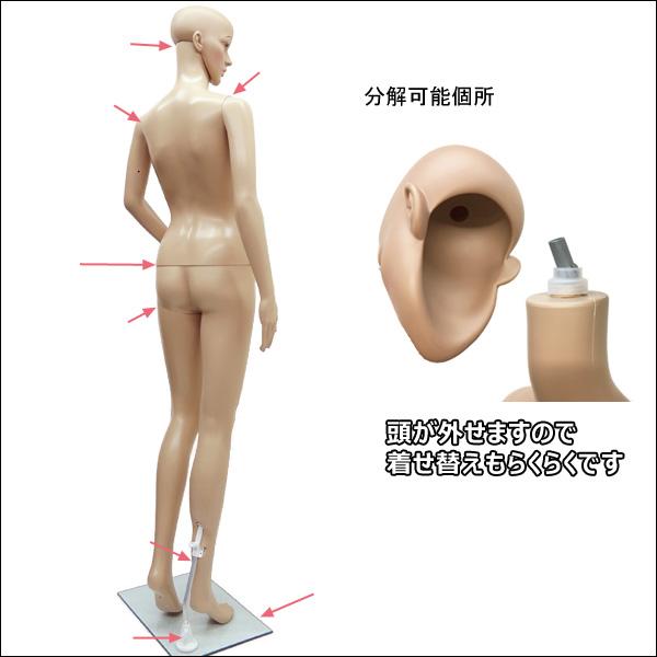 軽量 レディースマネキン 女性マネキン 選べるウイッグおまけ付き【F-03】 |  | 03