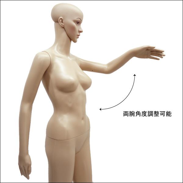 軽量 レディースマネキン 女性マネキン 選べるウイッグおまけ付き【F-03】 |  | 06