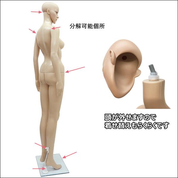 軽量 レディースマネキン 女性マネキン 選べるウイッグおまけ付き【F-10】 |  | 03