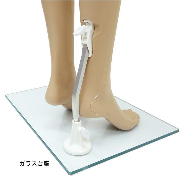 軽量 レディースマネキン 女性マネキン 選べるウイッグおまけ付き【F-10】 |  | 04