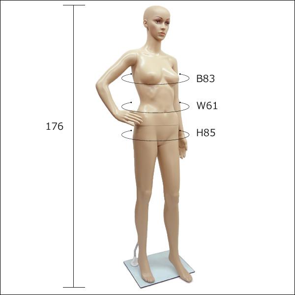 軽量 レディースマネキン 女性マネキン 選べるウイッグおまけ付き【F-11】 |  | 01