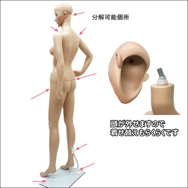 軽量 レディースマネキン 女性マネキン 選べるウイッグおまけ付き【F-11】 |  | 03