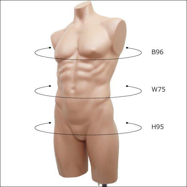 男性 リアルボディーマネキン 猫脚ナチュラル ハーフマネキン メンズトルソー ユニフォーム スポーツウェア ディスプレイ (908) |  | 06