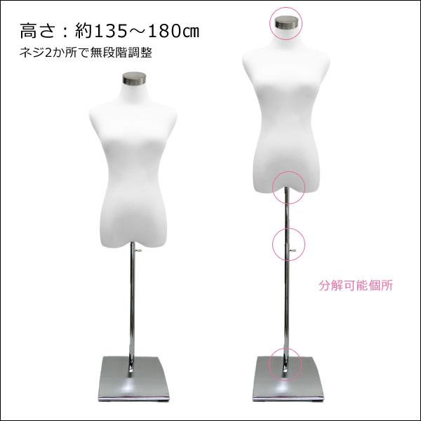 レディーストルソー 白 鉄脚スクエアJ 女性マネキン パンツ対応 (P-JWJ) |  | 01