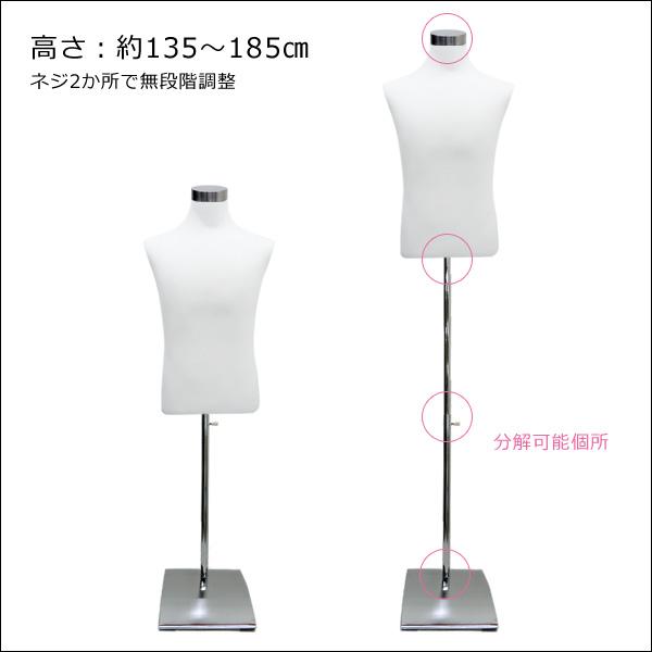メンズトルソー 白 鉄脚スクエアJ 男性マネキン パンツ対応 (P-JWJ) |  | 01