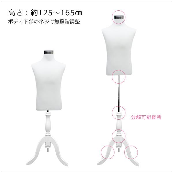 メンズトルソー 白 木製ホワイト猫脚 男性マネキン パンツ対応 (P-JWW) |  | 01