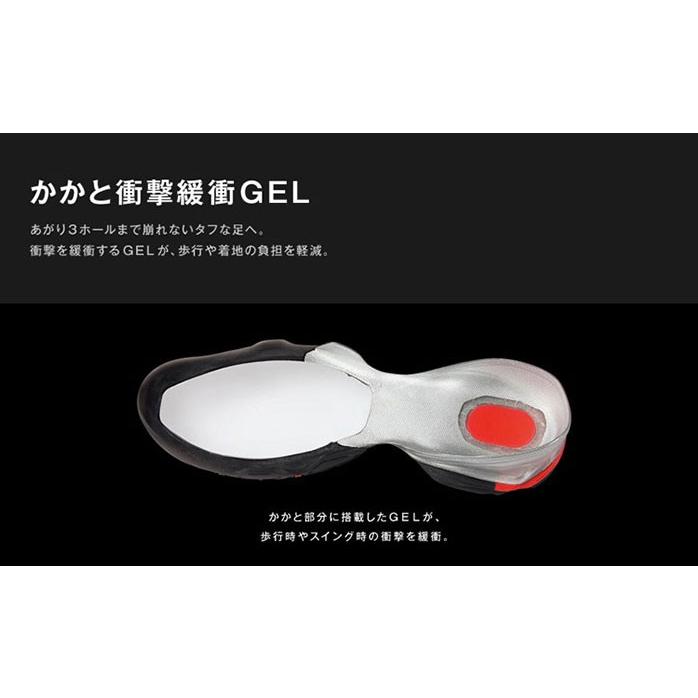 ASICS（アシックス） メンズ ゴルフシューズ TGN903 25 メンズ ゴルフ