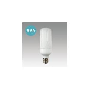 LED電球  FTW40-D  E39