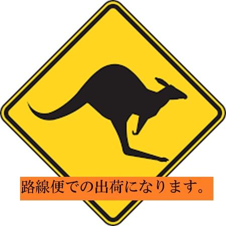 JCM -20℃以下 JCM冷凍ストッカー(542リットル) JCMC-556 : プロ家電