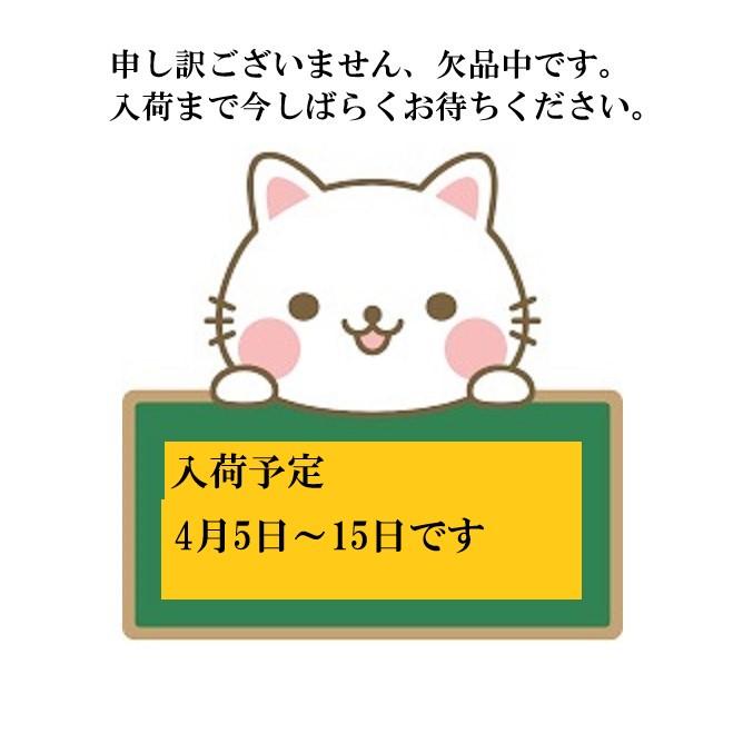 −25℃以下 JCM冷凍ショーケース(186リットル)  JCMCS-180の画像
