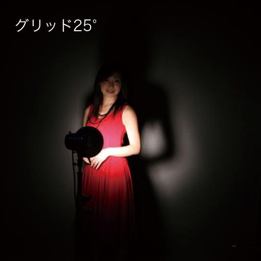 ハニカムグリッド3枚組18cmリフレクター専用(25度/35度/45度) CHC-1610