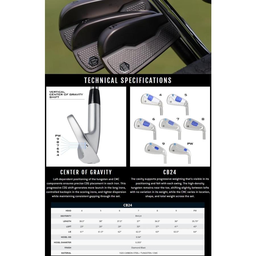 BETTINARDI（ベティナルディ） Bettinardi Black Rainbow PVD CB24