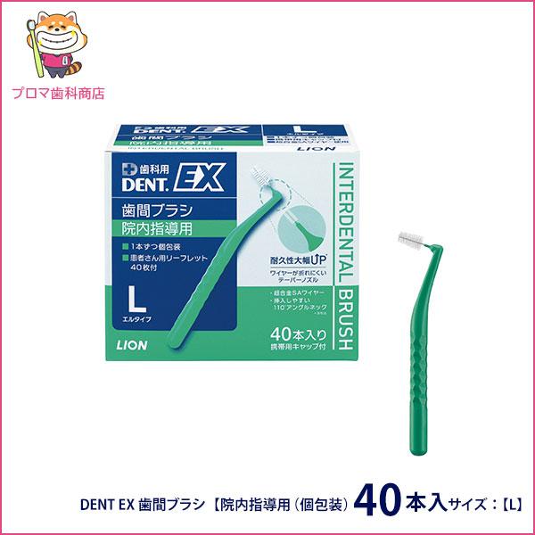 法歯科医学　第2版【超美品】 法歯科医学 基礎知識から臨床・災害時の対応まで 第2版 | 髙橋雅典