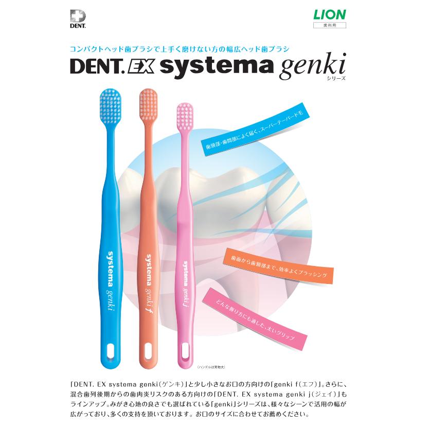 LION 【おまけ付き】◇ライオンDENTEXシステマ ゲンキ LION 【おまけ付き】◇ライオンDENTEXシステマ ゲンキ