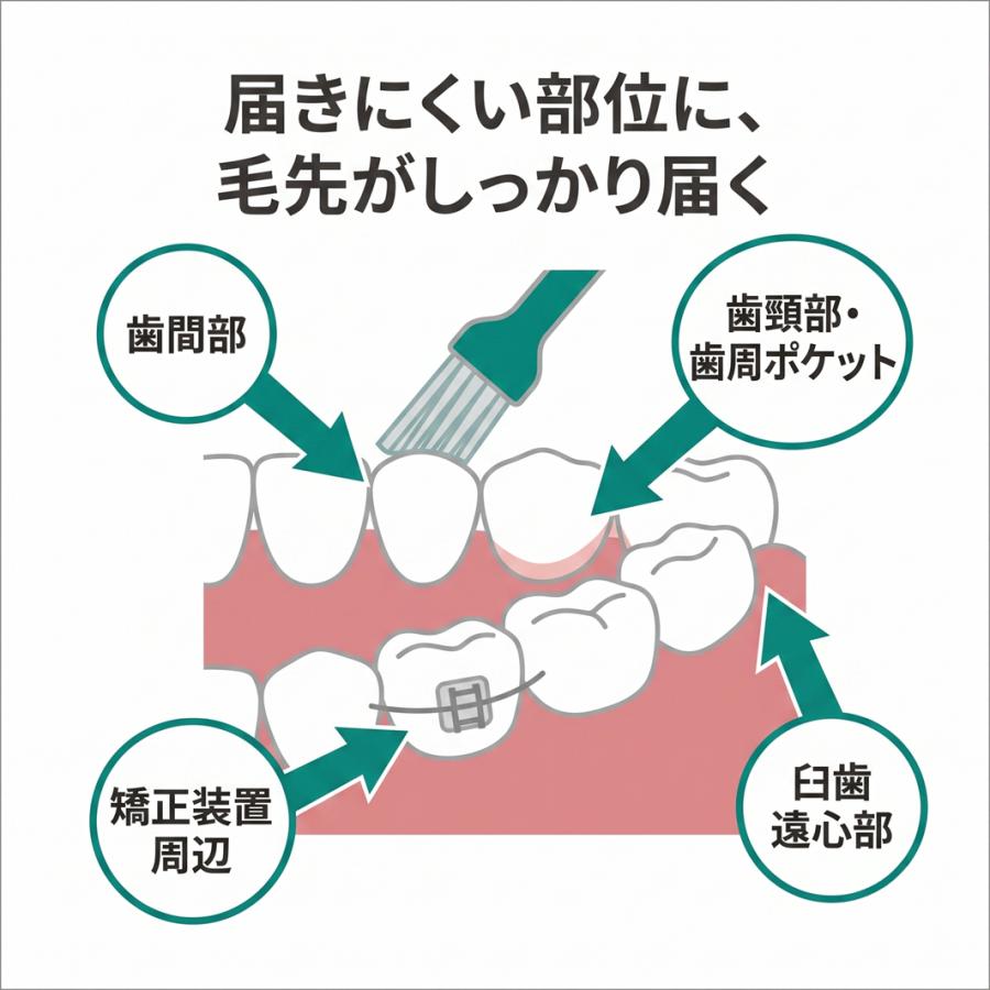 LION（ライオン） システマ ワンタフト DENT.EX 歯ブラシ 10本 歯科